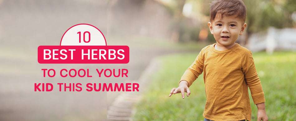 10 Best Herbs to Cool Your Kid this Summer