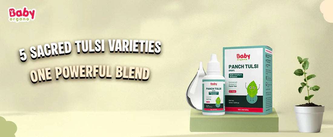 5 Powerful Types of Tulsi in BabyOrgano Panch Tulsi Drops — and How Each Boosts Your Child’s Immunity