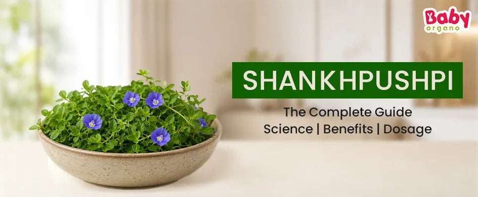 Shankhpushpi: The Complete Guide to Ayurveda, Science, Benefits & Dosage