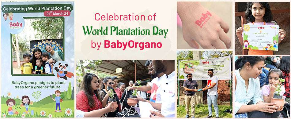 Celebration of World Plantation Day by BabyOrgano