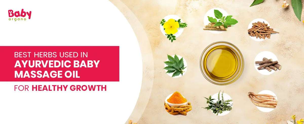 Best Herbs Used in Ayurvedic Baby Massage Oil