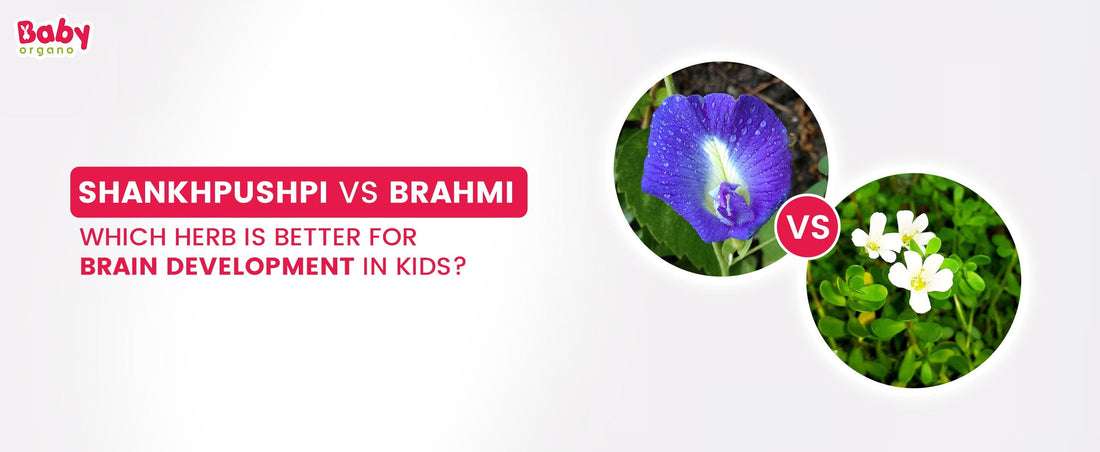 Shankhpushpi vs Brahmi: Which is Better for Kids’ Brain Development?