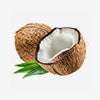 Coconuts