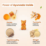 Power of Ayurveda ingredients breakdown showing Honey, Turmeric, Yashtimadhu, and Ginger surrounding a gummy | #flavour_honey