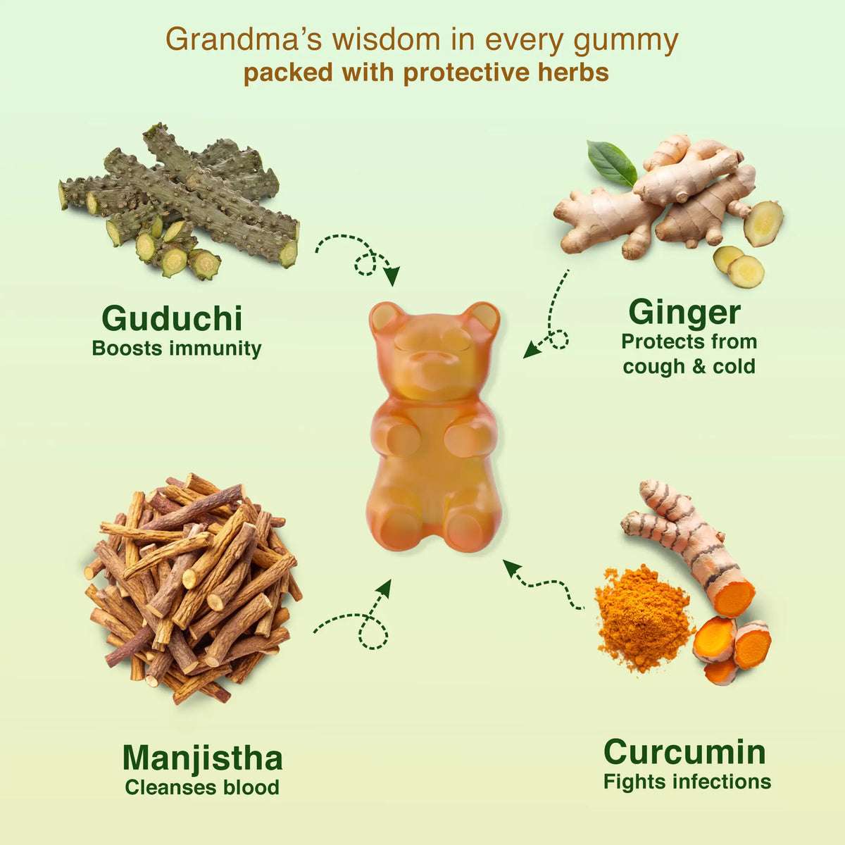Ingredients of immunity gummies – turmeric, manjishtha, bibhitaki, haritaki filled with natural Ayurvedic goodness