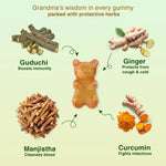 Ingredients of immunity gummies – turmeric, manjishtha, bibhitaki, haritaki filled with natural Ayurvedic goodness