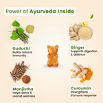 Ingredients of immunity gummies – turmeric, manjishtha, bibhitaki, haritaki filled with natural Ayurvedic goodness| #flavour_pineapple