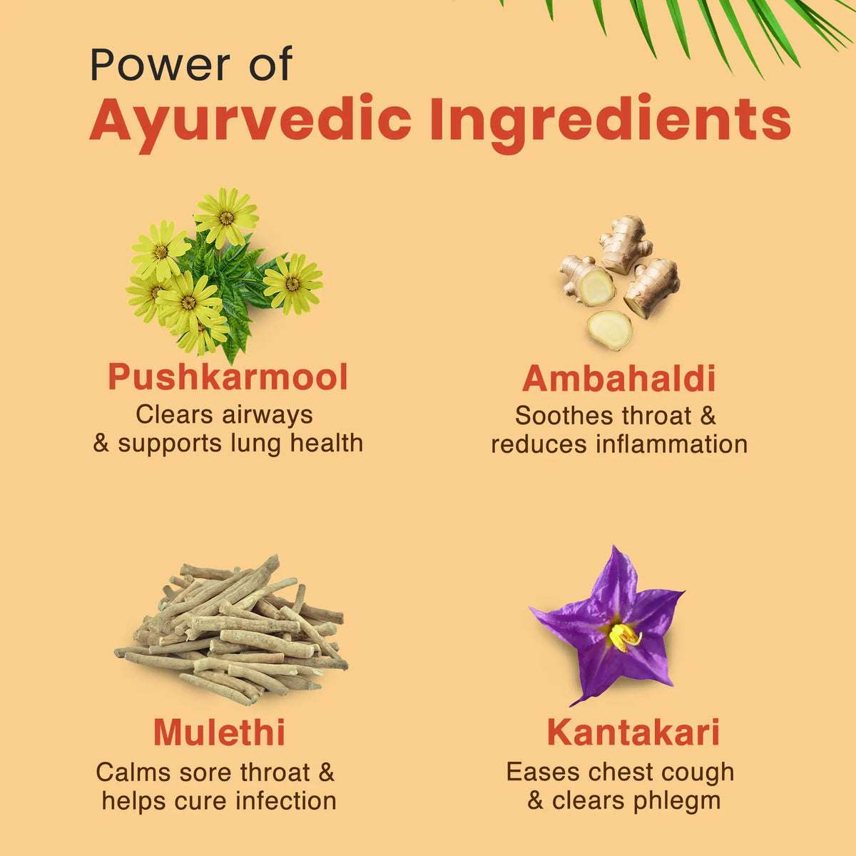 Kanthprash Ayurvedic cough syrup ingredients – Pushkarmool, Ambahaldi, Mulethi, and Kantakari for cough and throat relief in kids.