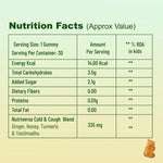 Nutrition facts of immunity gummies – energy, carbs, sugar, turmeric, ginger, guduchi, manjistha, haritaki, amla, bibhitaki