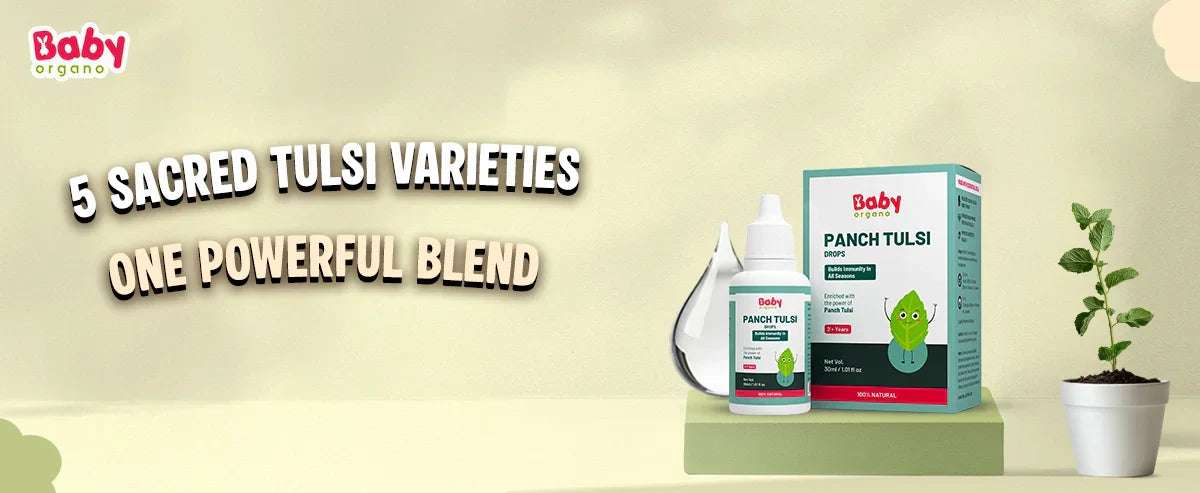 5 Powerful Types of Tulsi in BabyOrgano Panch Tulsi Drops — and How Each Boosts Your Child’s Immunity