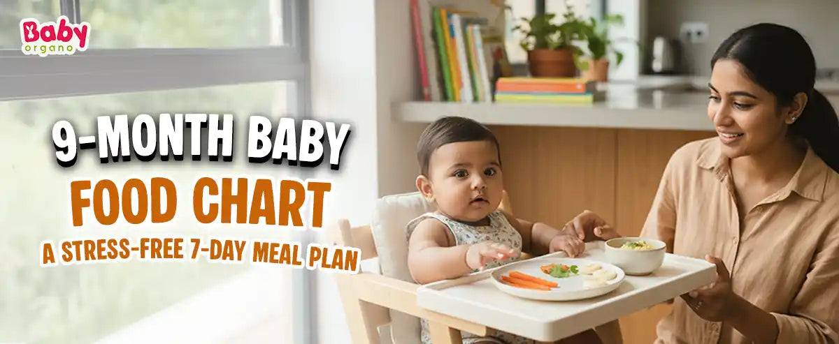 Complete 9-month baby food chart with weekly meal plan and safety guidelines by BabyOrgano