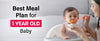 Best Meal Plan For 1 Year Old Baby