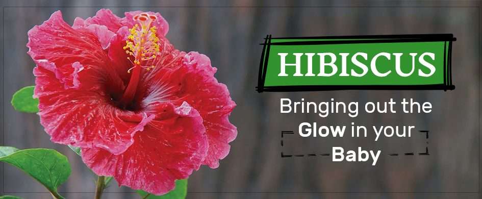 Hibiscus: Bringing out the glow in your baby