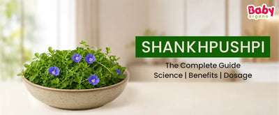The Complete Guide to Shankhpushpi