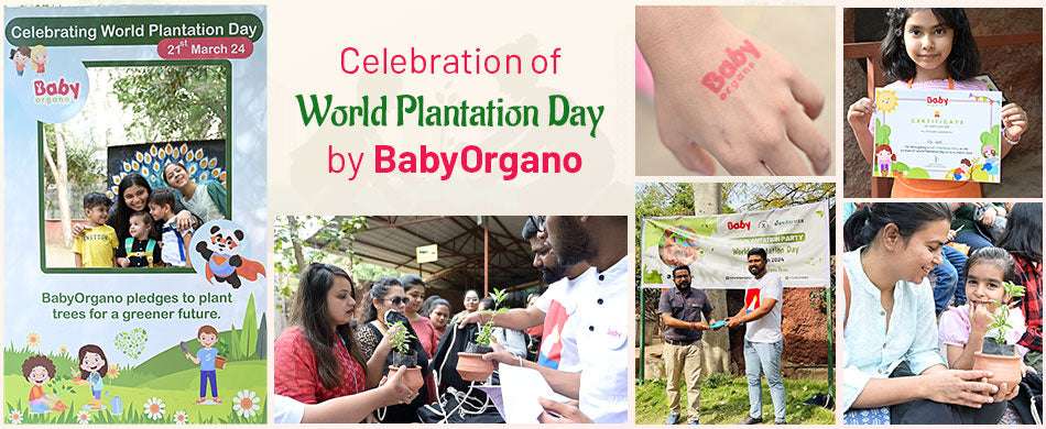 Celebration of World Plantation Day by BabyOrgano