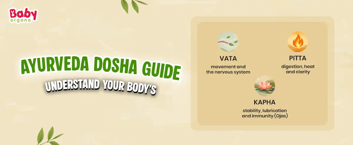 Ayurveda Dosha Guide explaining Vata (movement), Pitta (digestion), and Kapha (stability) by BabyOrgano