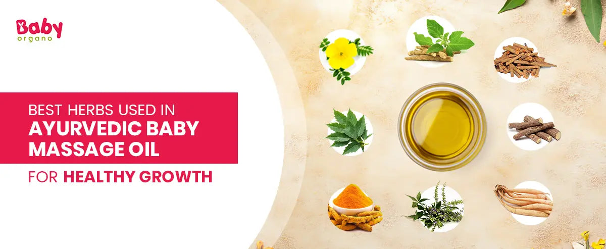Best Ayurvedic Herbs Used in Baby Massage Oil for Growth, Immunity, and Skin Care