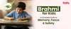 A young boy focusing on a brain-boosting puzzle game, showcasing the benefits of Brahmi for kids' memory and cognitive development.