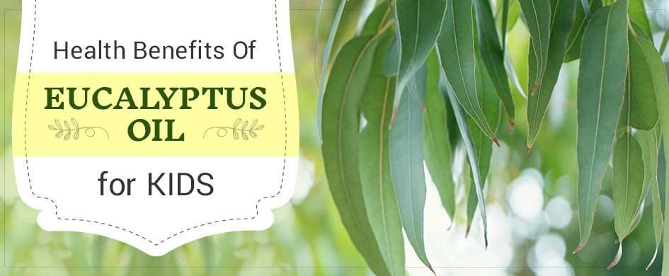 5 Most Impressive Health Benefits of Eucalyptus Oil