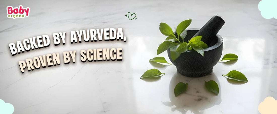 The Science of Tulsi: Why Ayurveda Calls It Nature’s Ultimate Immunity Guardian