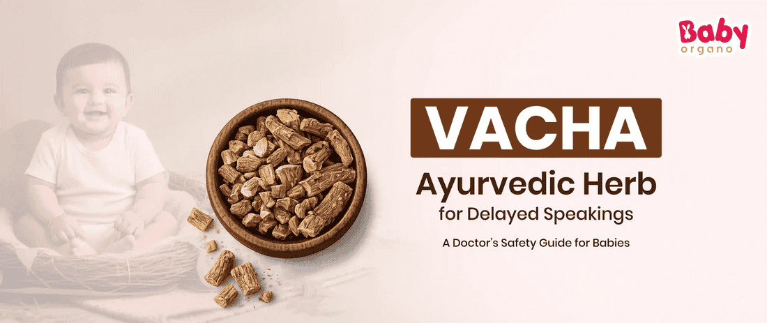 Vacha for Babies: A Doctor’s Guide to Benefits, Safety, and Ayurvedic Uses
