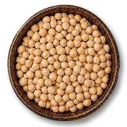 Chickpea