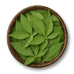 Nirgundi