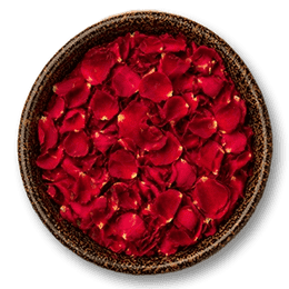Rose Petals