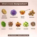 Natural ingredients of swarnaprashan including 24K Gold Swarna Bhasma, Shankhpushpi, Brahmi, and Ajwain Honey.