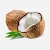 coconut oil