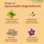 Kanthprash Ayurvedic cough syrup ingredients – Pushkarmool, Ambahaldi, Mulethi, and Kantakari for cough and throat relief in kids.