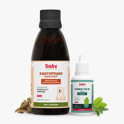 Kanthprash Cough Syrup and Panch Tulsi Drops combo for kids – Ayurvedic relief for cough and natural immunity booster
