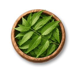 Neem