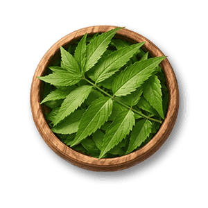 Neem