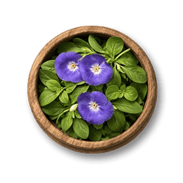 Shankhpushpi