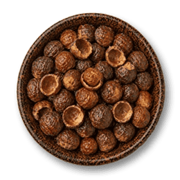 Soapnut